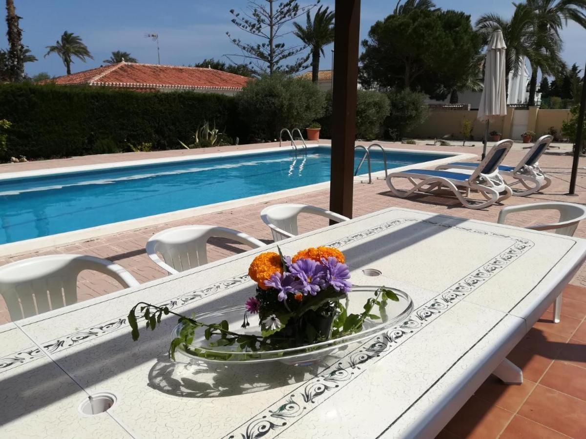 Zenia Villa