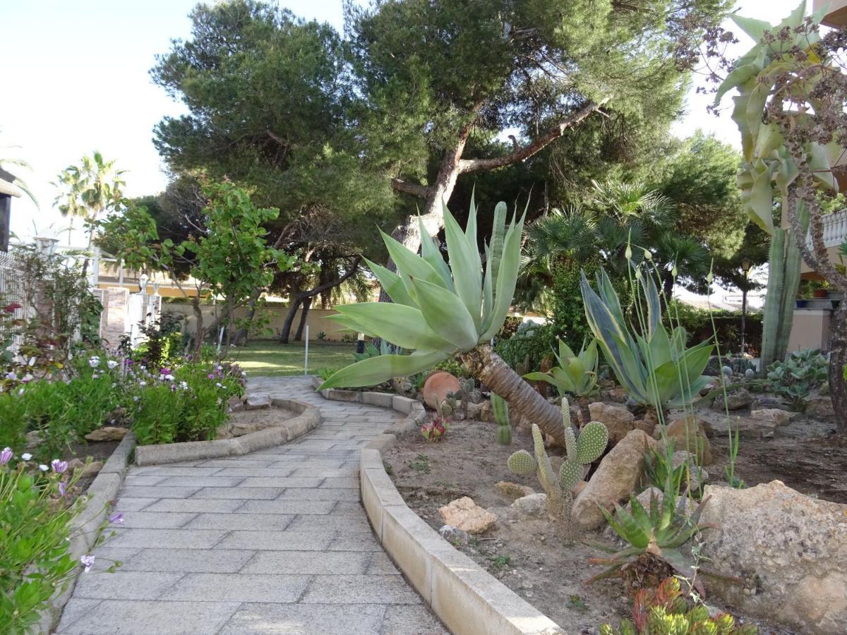 Zenia Villa *