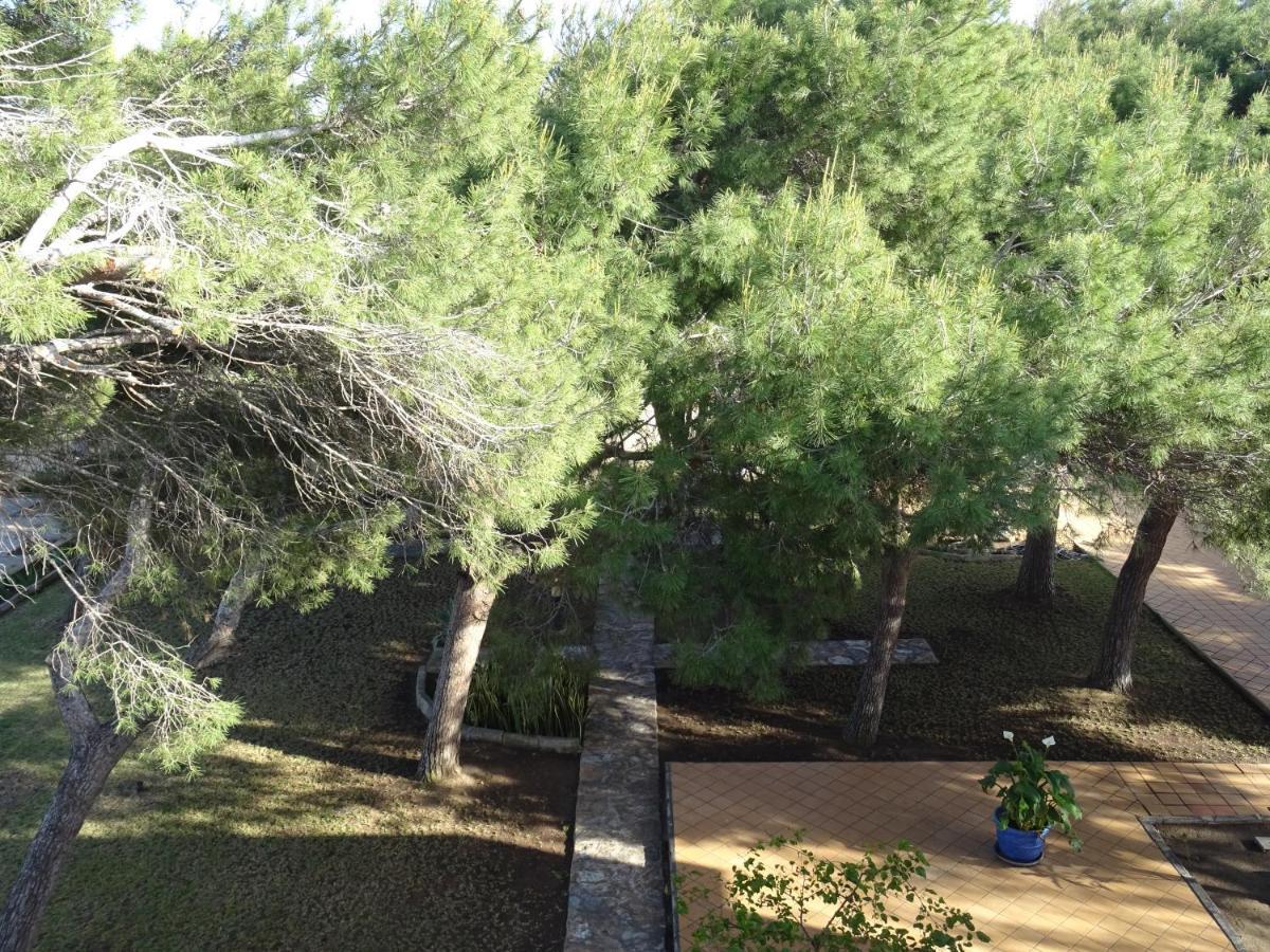 Villa Zenia Oriola (Orihuela)