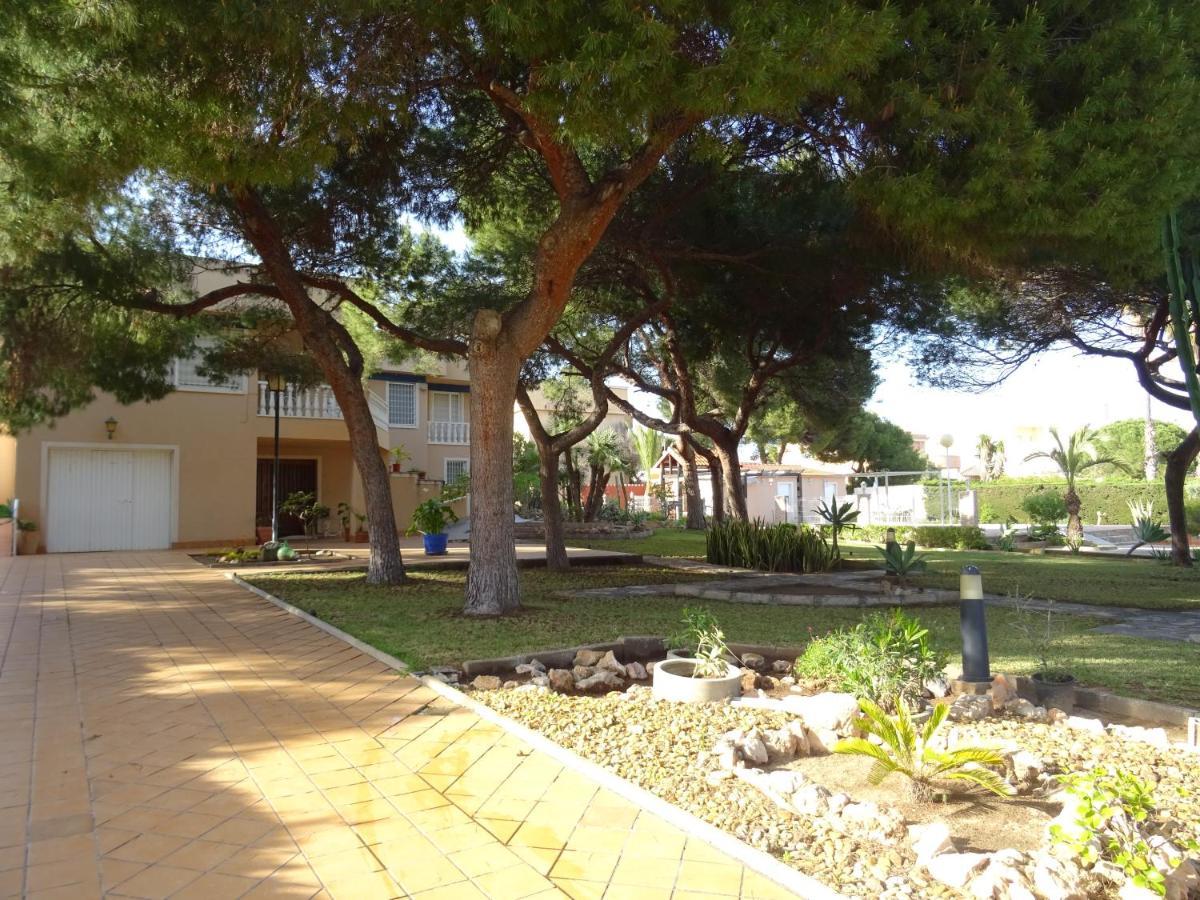 Zenia Villa *