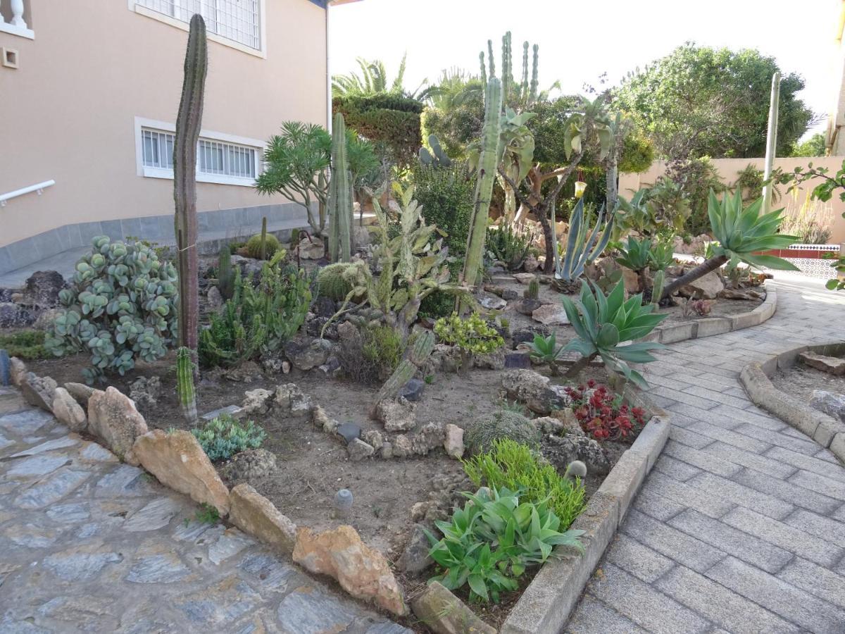 Villa Zenia *