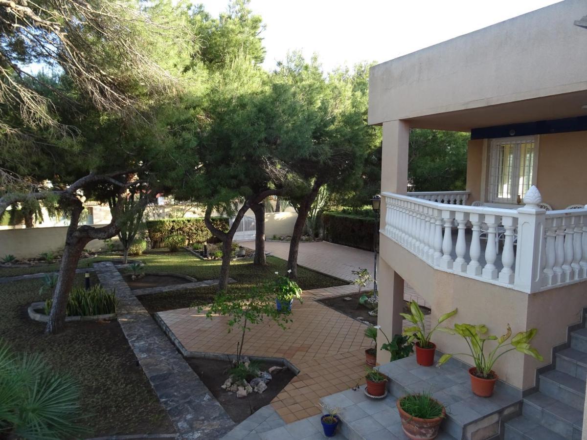 Villa Zenia